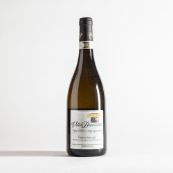 Fiano di Avellino