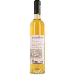 Malvasia