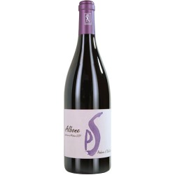 Lambrusco di Modena Albone