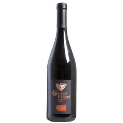 Piedirosso