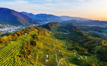 Prosecco collines