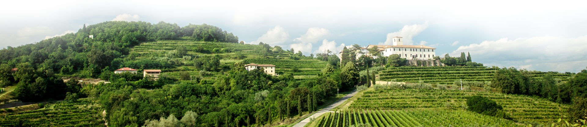 Les Meilleurs domaines de vins Italiens - Bonte Divino - Vin en Ligne