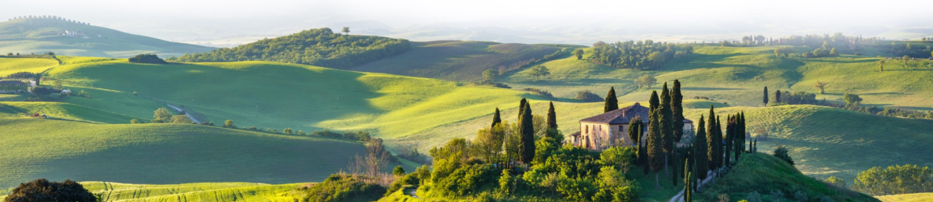 Paterna, Domaine en Toscane, Vins Italiens par Bonte di Vino