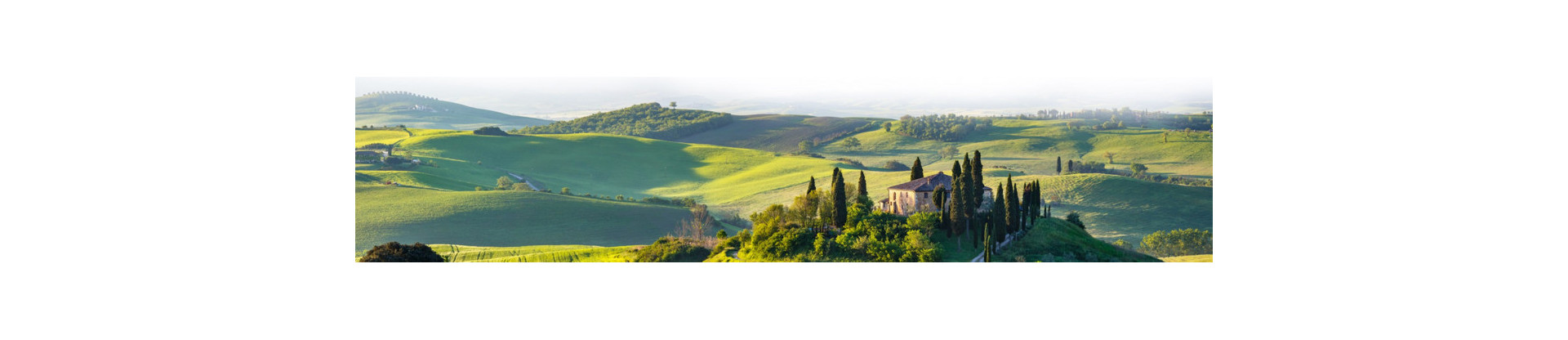 Fattoria Sardi, Domaine en Toscane, Vins Italiens par Bonte di Vino